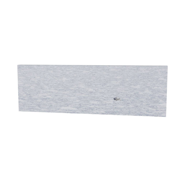 Polar Bear Plunge, Barents Sea