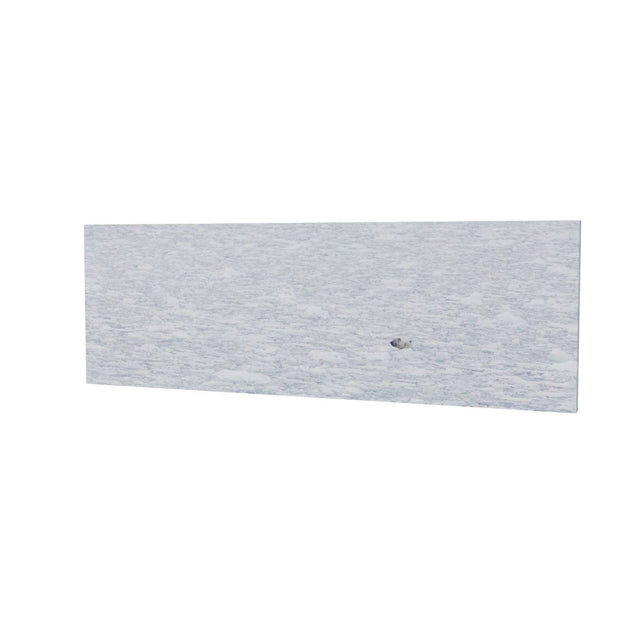 Polar Bear Plunge, Barents Sea