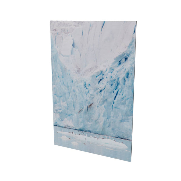 Kittiwakes and Glacier, Svalbard