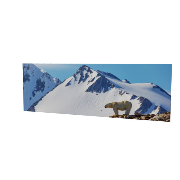 Skylined Polar Bear, Svalbard
