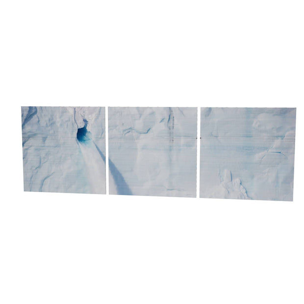Meltwater and Bird, Svalbard