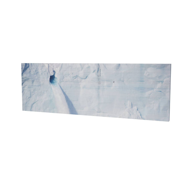Meltwater and Bird, Svalbard