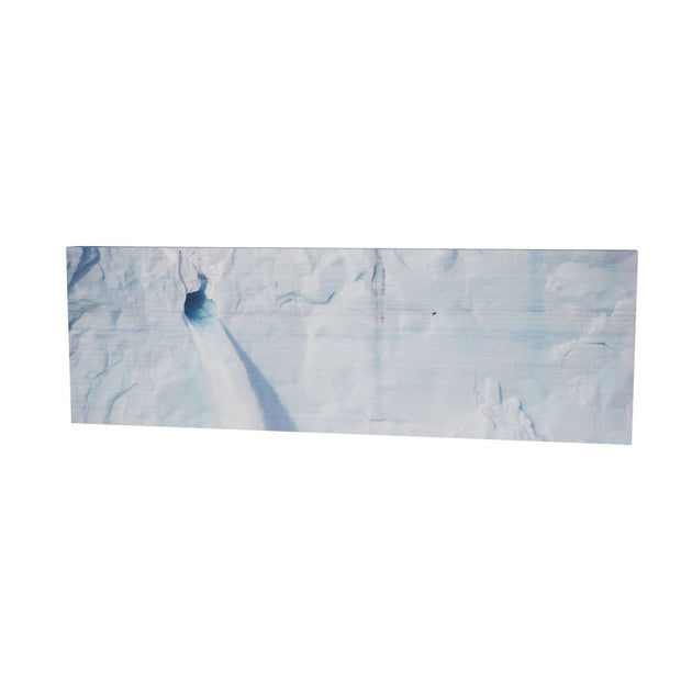 Meltwater and Bird, Svalbard