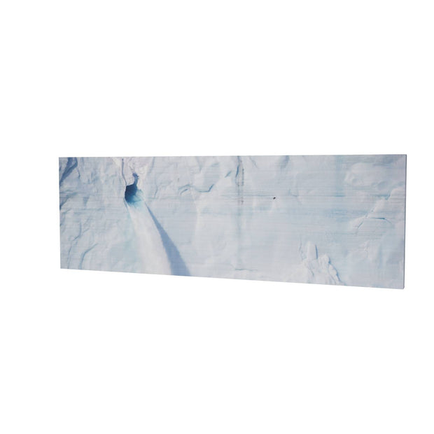 Meltwater and Bird, Svalbard