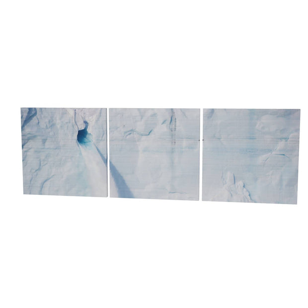 Meltwater and Bird, Svalbard