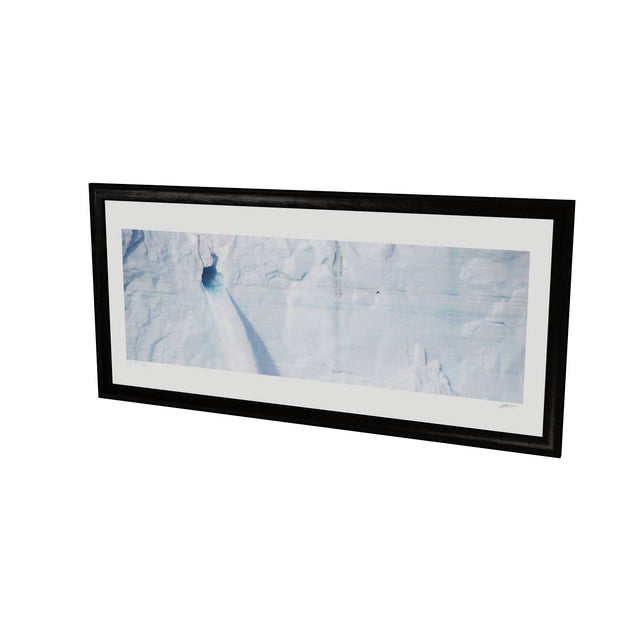 Meltwater and Bird, Svalbard