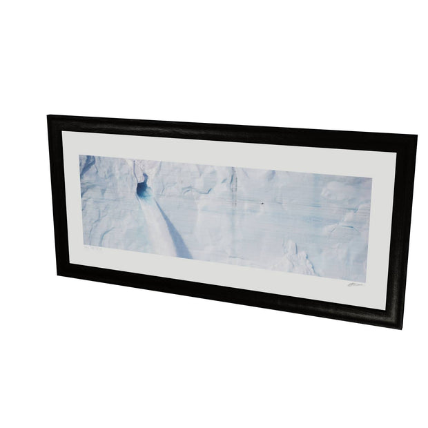 Meltwater and Bird, Svalbard