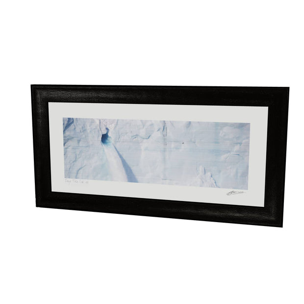 Meltwater and Bird, Svalbard