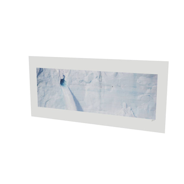 Meltwater and Bird, Svalbard
