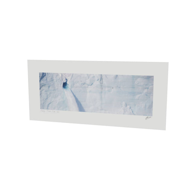 Meltwater and Bird, Svalbard