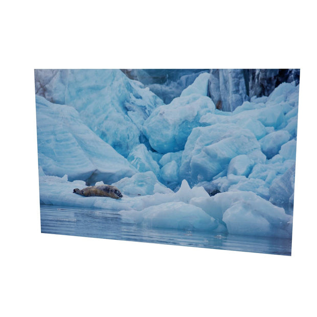 Bearded Seal, Svalbard