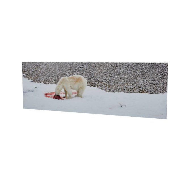 Dinner Time, Svalbard