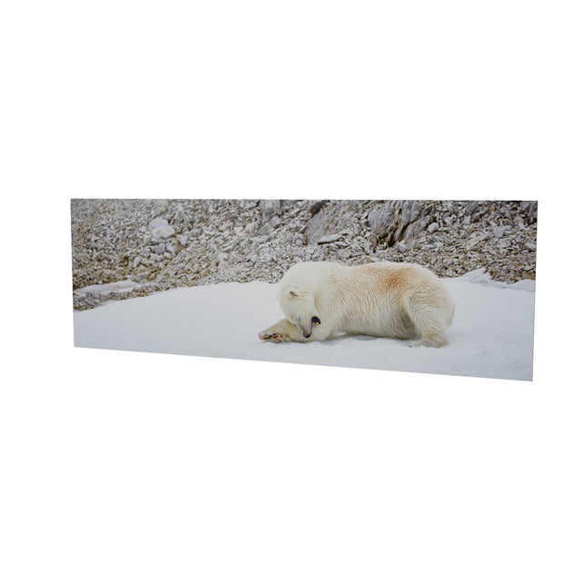 Grooming Time, Svalbard