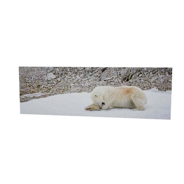 Grooming Time, Svalbard