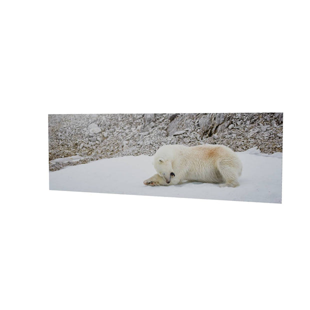 Grooming Time, Svalbard