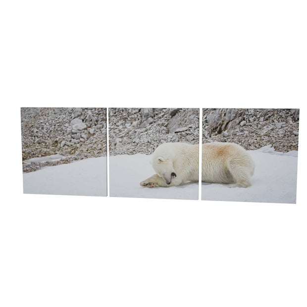 Grooming Time, Svalbard