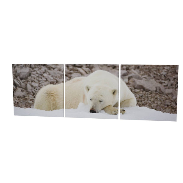 Sleeping Polar Bear II, Svalbard