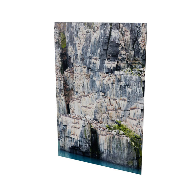 Cliff Detail, Alkefjellet