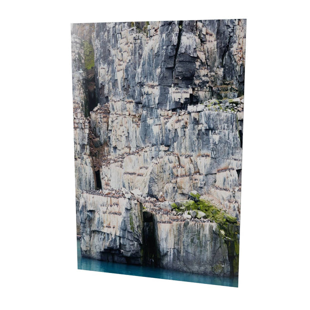Cliff Detail, Alkefjellet