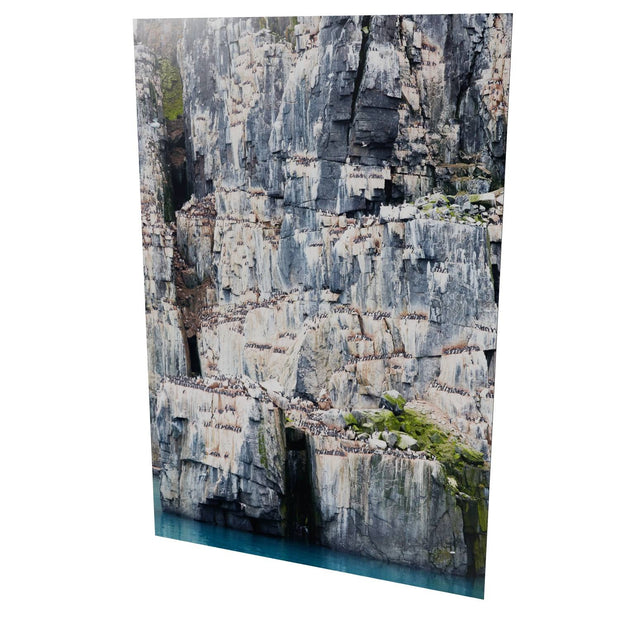 Cliff Detail, Alkefjellet