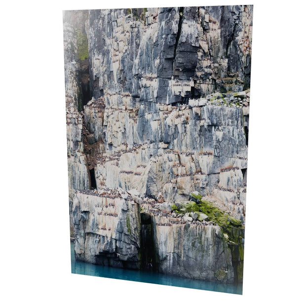Cliff Detail, Alkefjellet