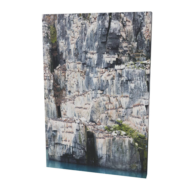 Cliff Detail, Alkefjellet
