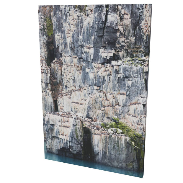Cliff Detail, Alkefjellet