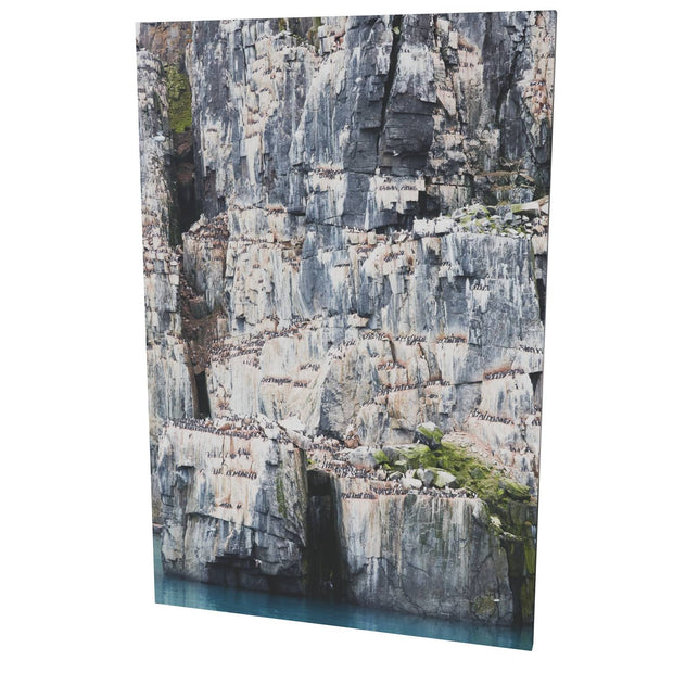 Cliff Detail, Alkefjellet