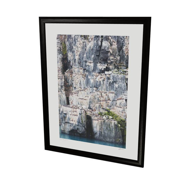 Cliff Detail, Alkefjellet