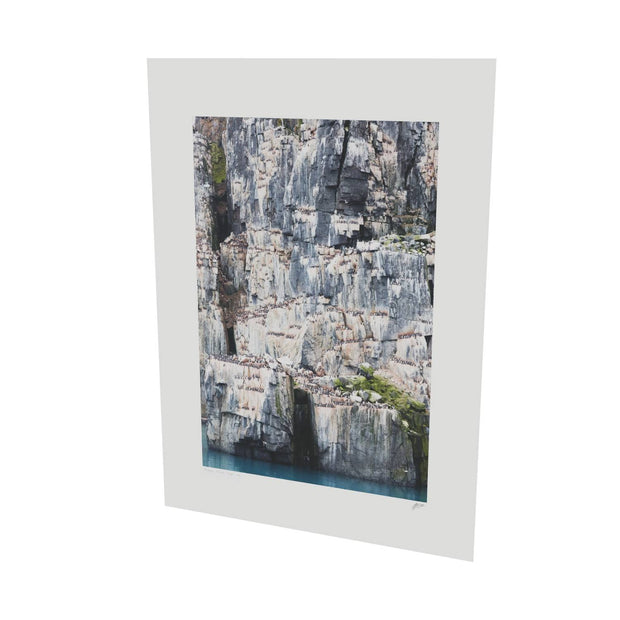 Cliff Detail, Alkefjellet