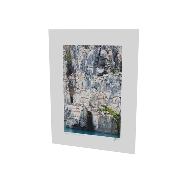 Cliff Detail, Alkefjellet