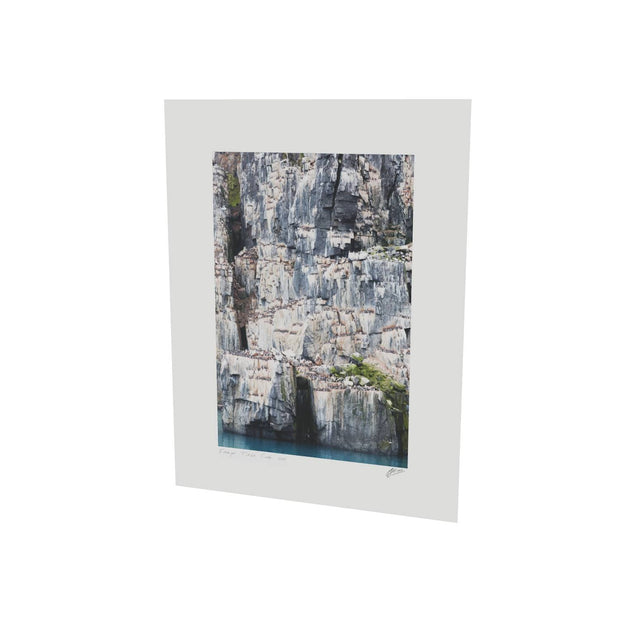 Cliff Detail, Alkefjellet