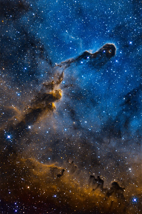 The Elephant's Trunk Nebula IC1396A showing a dense column of gas and dust in deep blue and amber tones in the constellation Cepheus