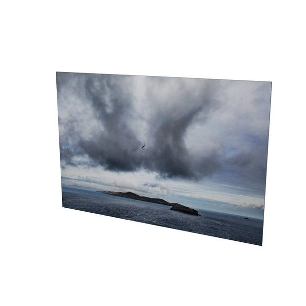 Dursey Island & Gannet, Co. Cork