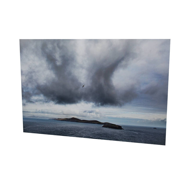 Dursey Island & Gannet, Co. Cork