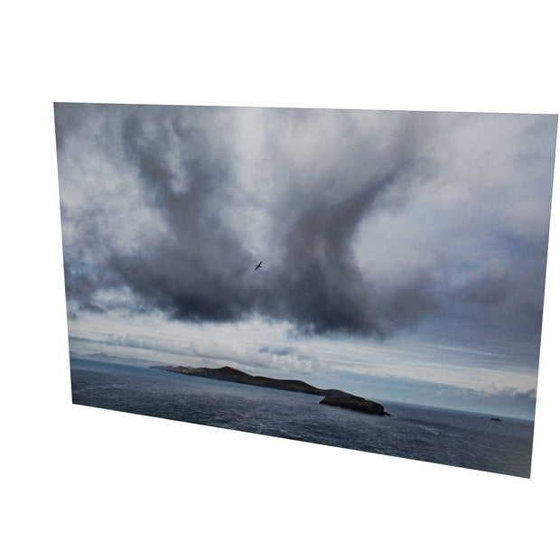 Dursey Island & Gannet, Co. Cork