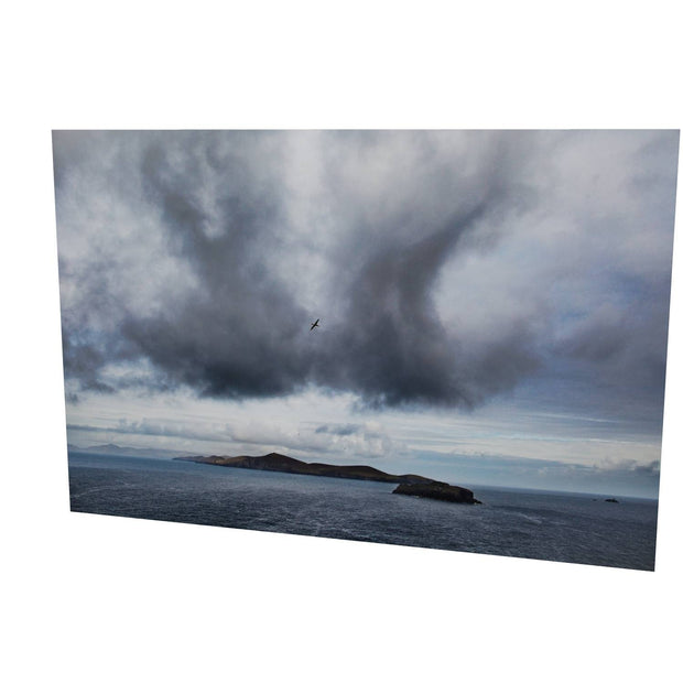 Dursey Island & Gannet, Co. Cork