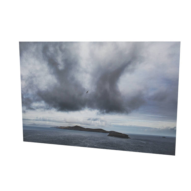 Dursey Island & Gannet, Co. Cork