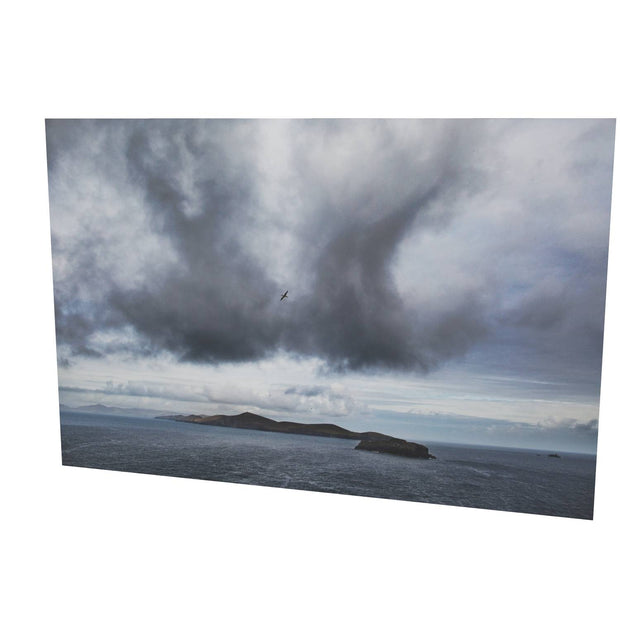 Dursey Island & Gannet, Co. Cork