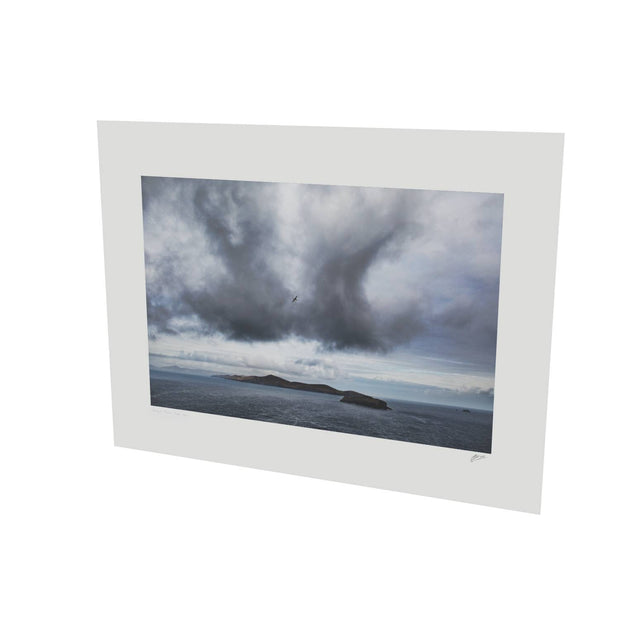 Dursey Island & Gannet, Co. Cork