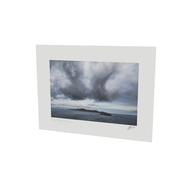 Dursey Island & Gannet, Co. Cork