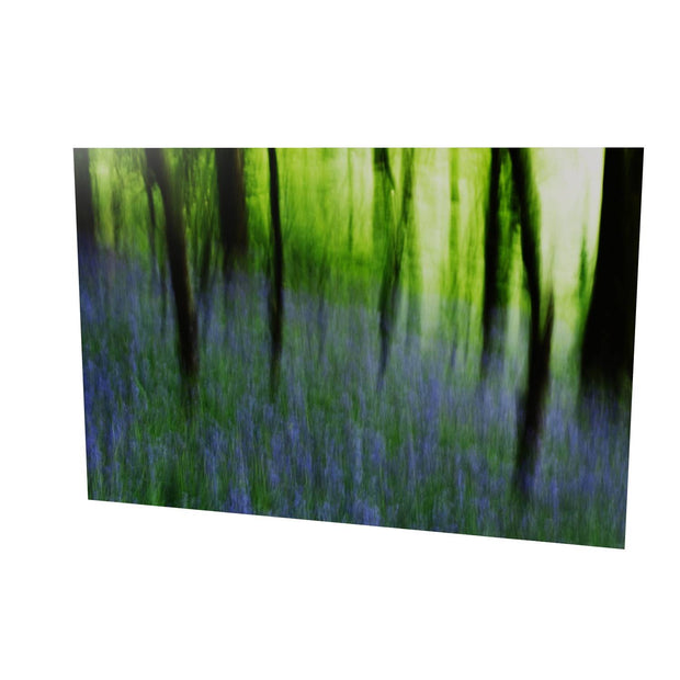 Bluebell Woods, Co. Cork