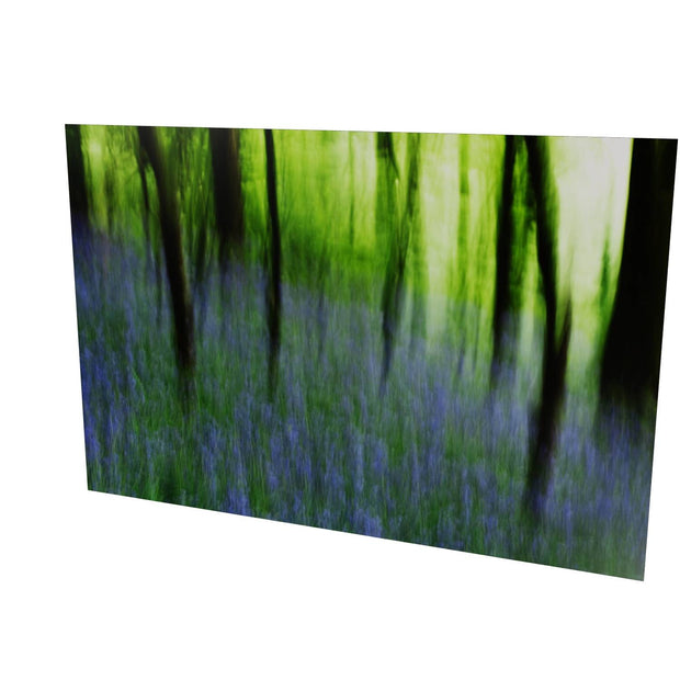 Bluebell Woods, Co. Cork
