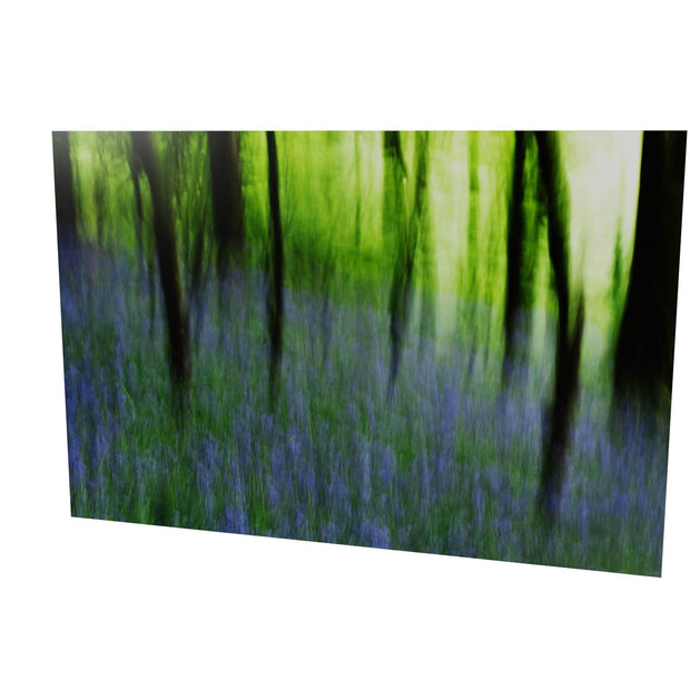 Bluebell Woods, Co. Cork