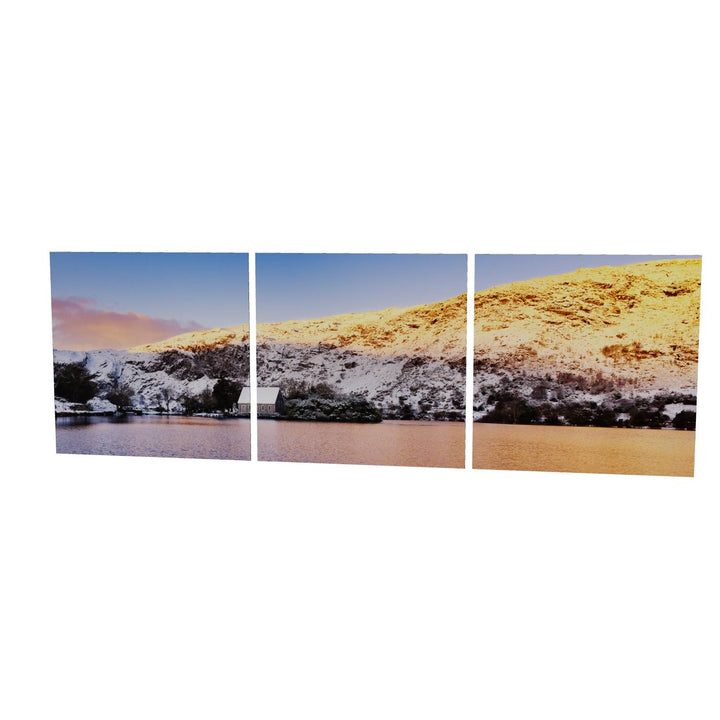 Winter, Gougane Barra, Co. Cork: Floating Panel fine art print