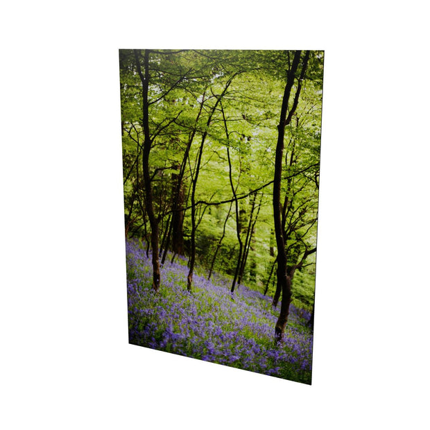 Fairytale Woods, Courtmacsherry, Co. Cork