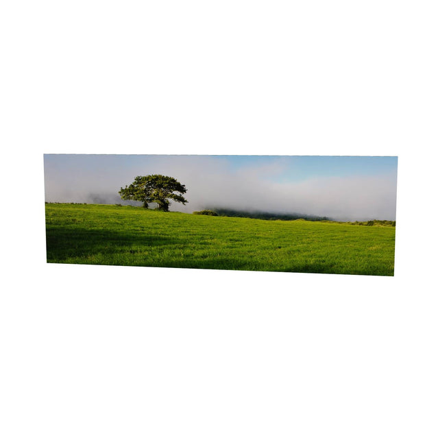 Ballingeary Lone Tree, Co. Cork