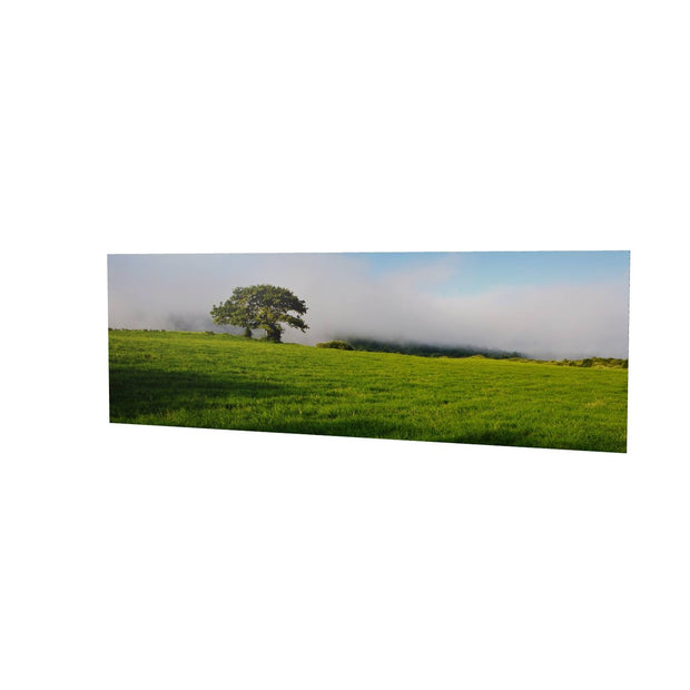 Ballingeary Lone Tree, Co. Cork