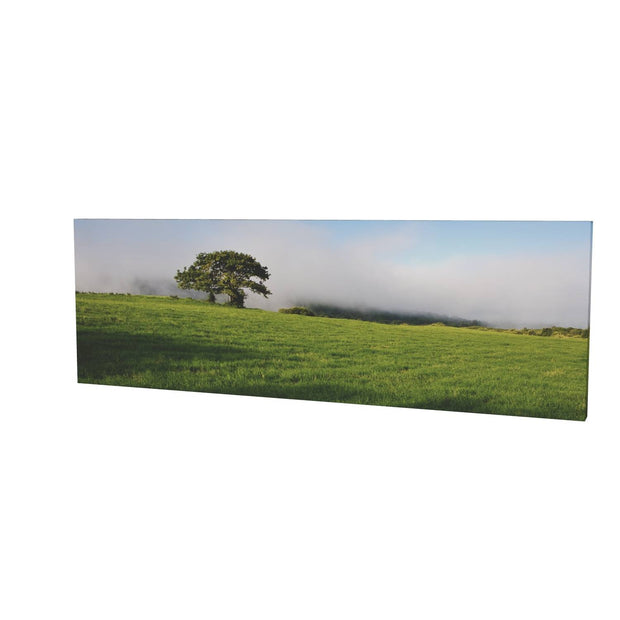 Ballingeary Lone Tree, Co. Cork