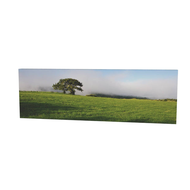 Ballingeary Lone Tree, Co. Cork